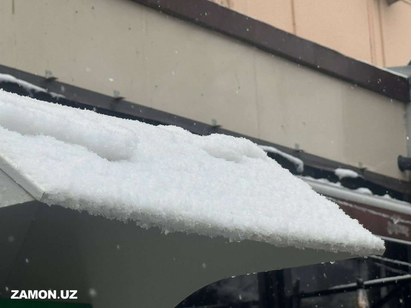 Тошкентда жорий йил қиш мавсуми учун илк қор ёғди