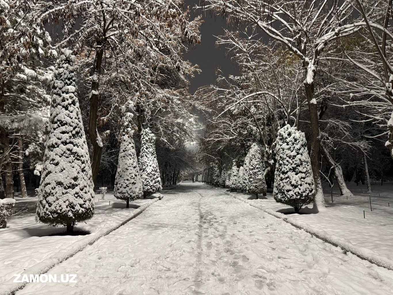 Bugun O‘zbekistonning ayrim hududlarida qor yog‘ishi kutilmoqda