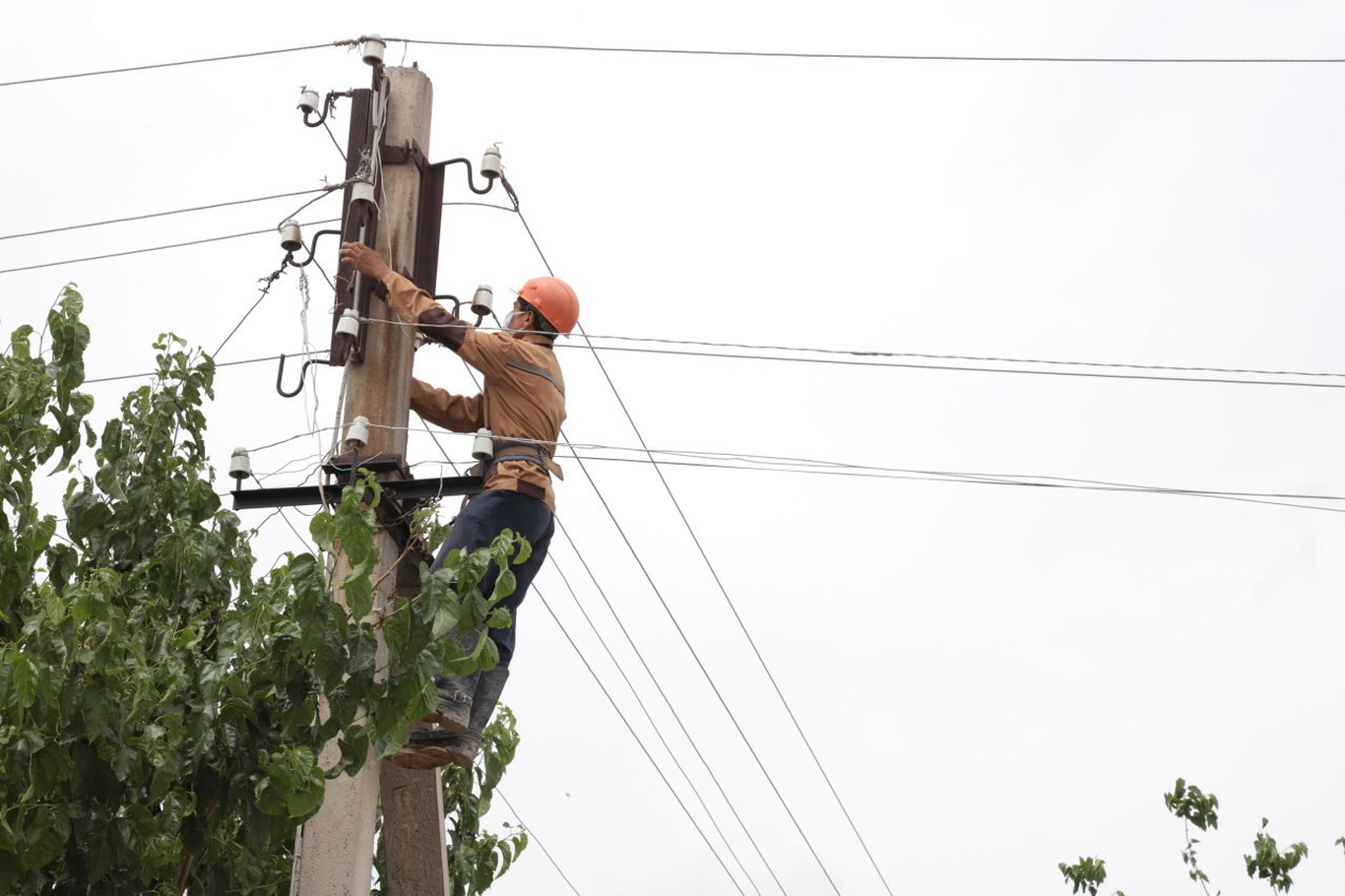 Sirdaryoda elektrik tok urib vafot etgani aytilmoqda