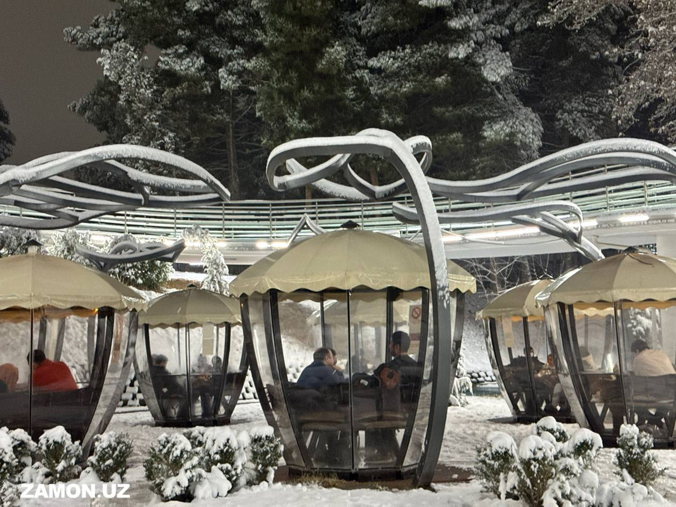 Январ ойида қандай об-ҳаво бўлиши кутилмоқда?