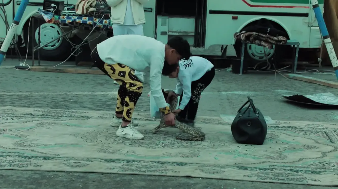 Бухорода ноқонуний ов ҳамда йўлбарссимон бўғма илон билан боғлиқ ҳуқуқбузарликлар аниқланди