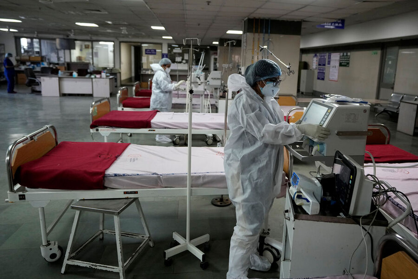 “Nipah” вирусига қарши вакцина ишлаб чиқарилди