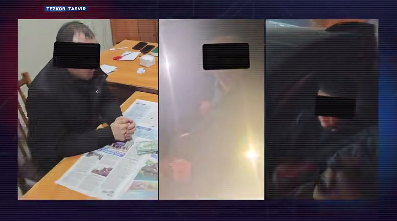 Попда ўрмон хўжалиги ерларини ноқонуний ижарага берган мансабдорлар фош этилди