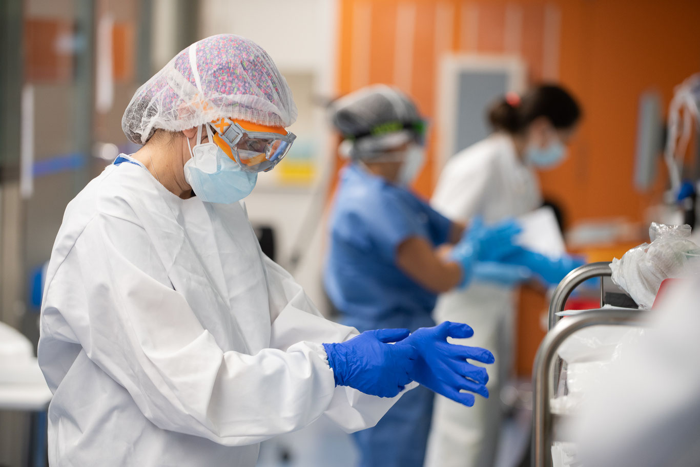 Ҳиндистонда Nipah вирусидан 2-ўлим қайд этилди