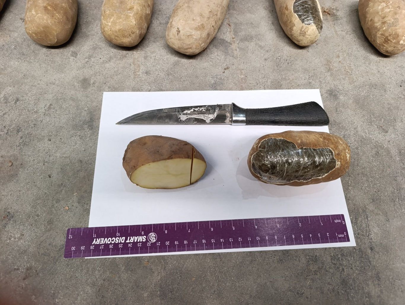 Surxondaryoda kartoshka ko‘rinishidagi 72 kg giyohvand modda aniqlandi