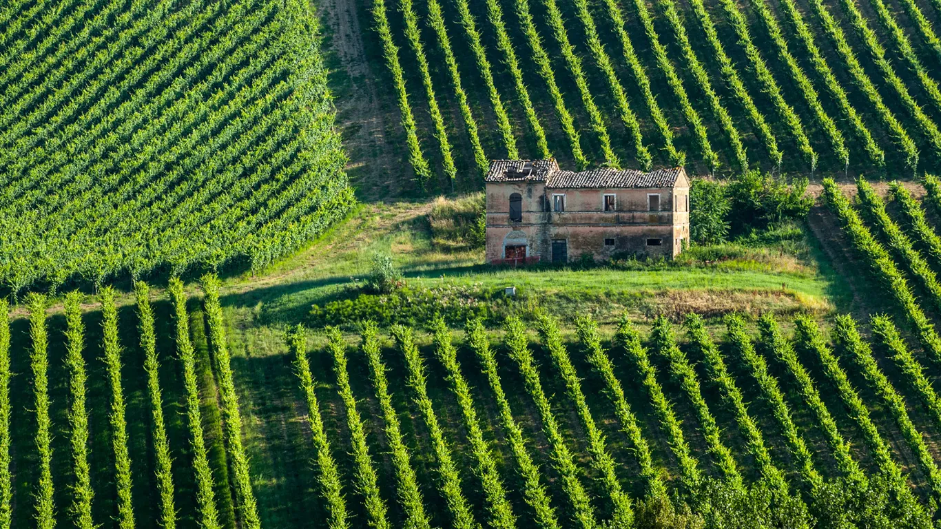 Citizens of Uzbekistan will be recruited for seasonal work in Italy.