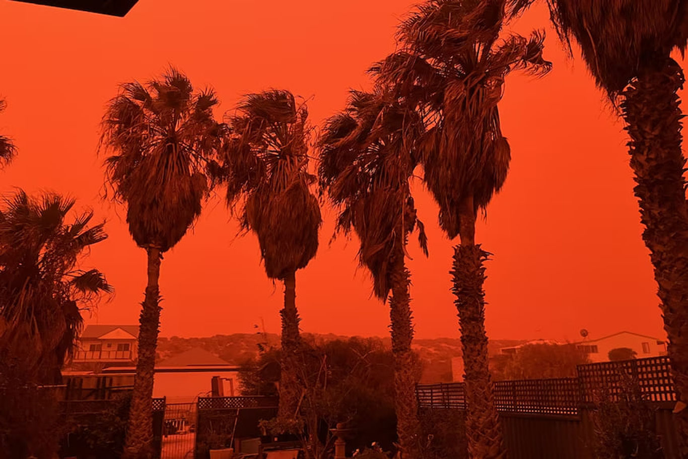 Австралия осмони қизил тусга кирди