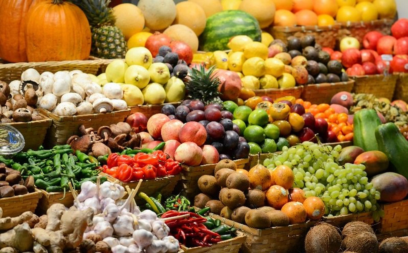 Surxondaryo viloyatida “Surxon-Agro” erkin iqtisodiy zonasi tashkil etiladi