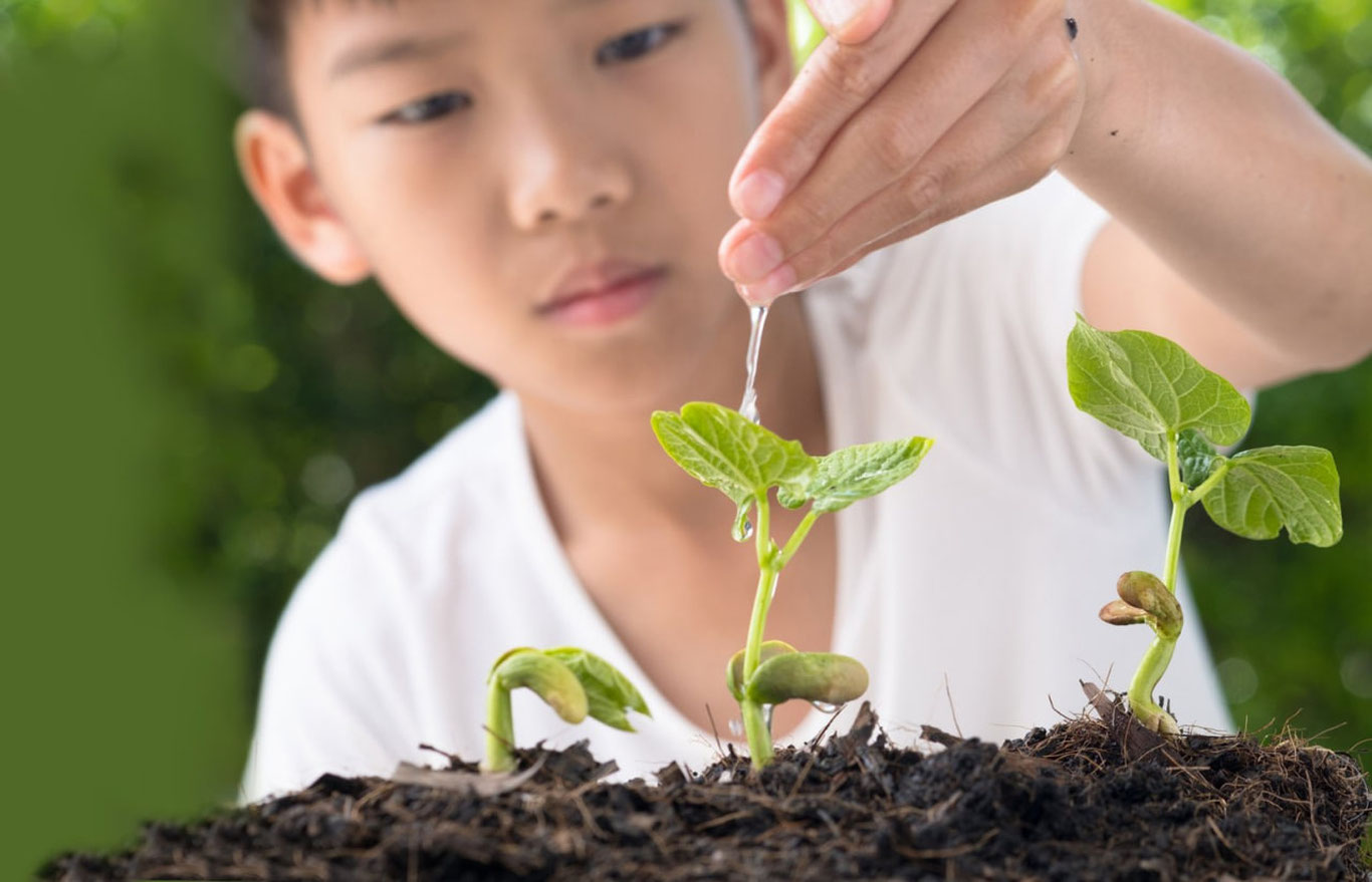 “Yosh ekolog” ko‘krak nishoni ta’sis etiladi