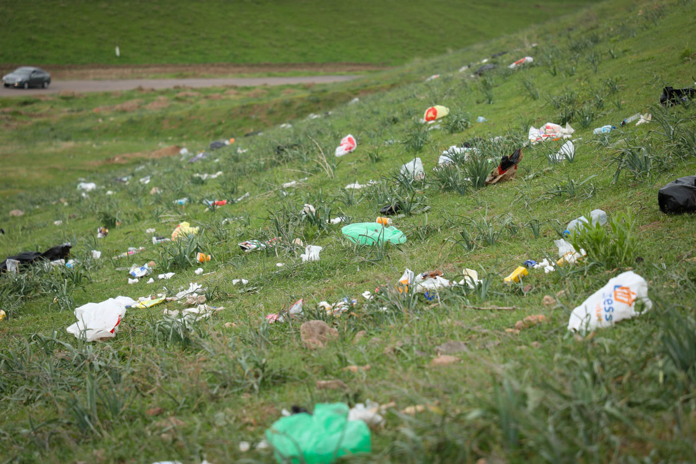 O‘zbekiston bo‘ylab belgilangan hududlar 98 tonnaga yaqin chiqindidan tozalandi