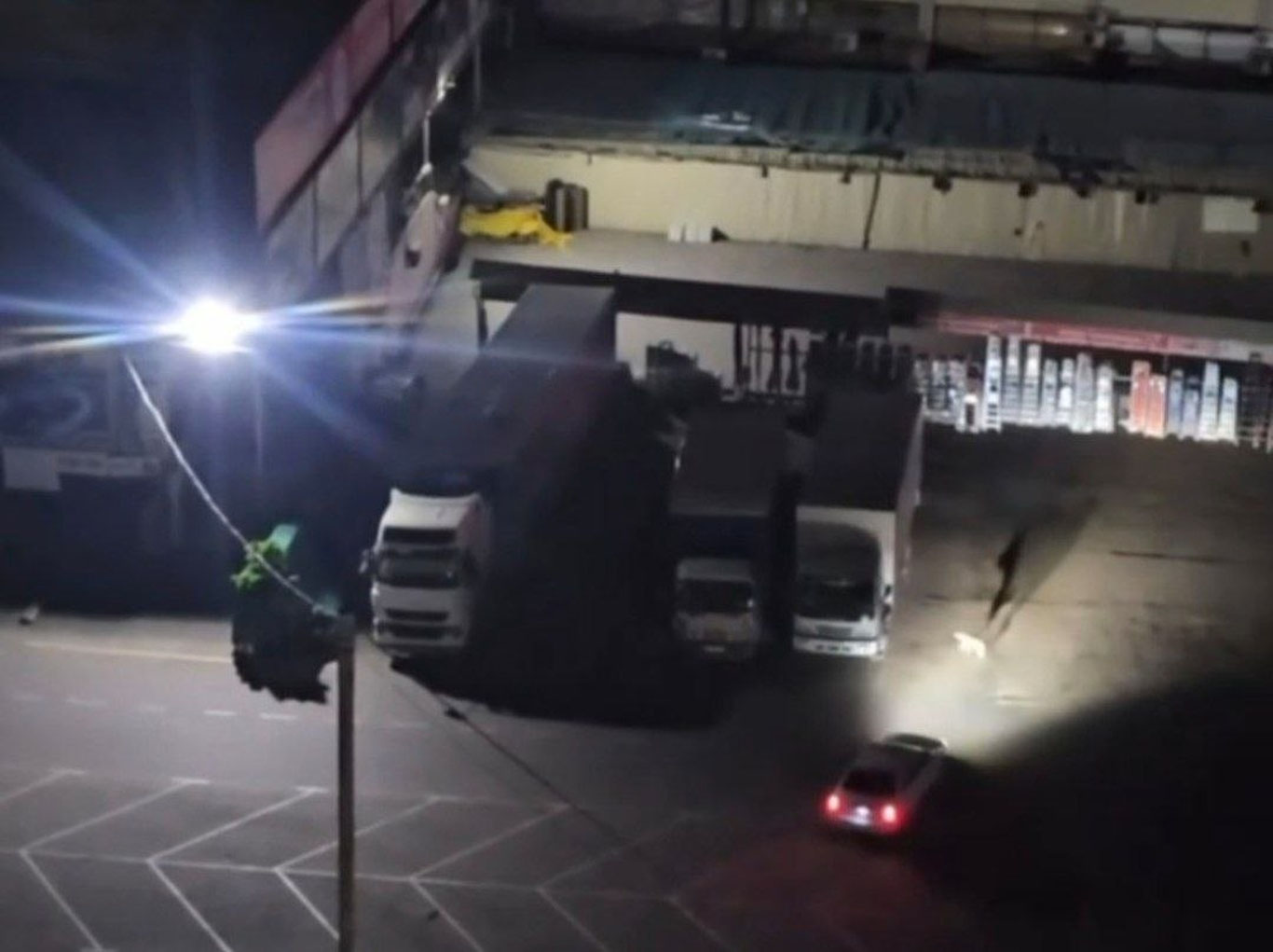 Toshkentda 2 nafar bozor qorovuli itlar ustiga mashina haydadi