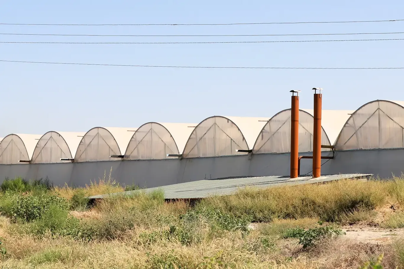 Тошкент ва унинг атрофидаги иссиқхоналарга 1 августдан газ етказиб бериш тўхтатилади