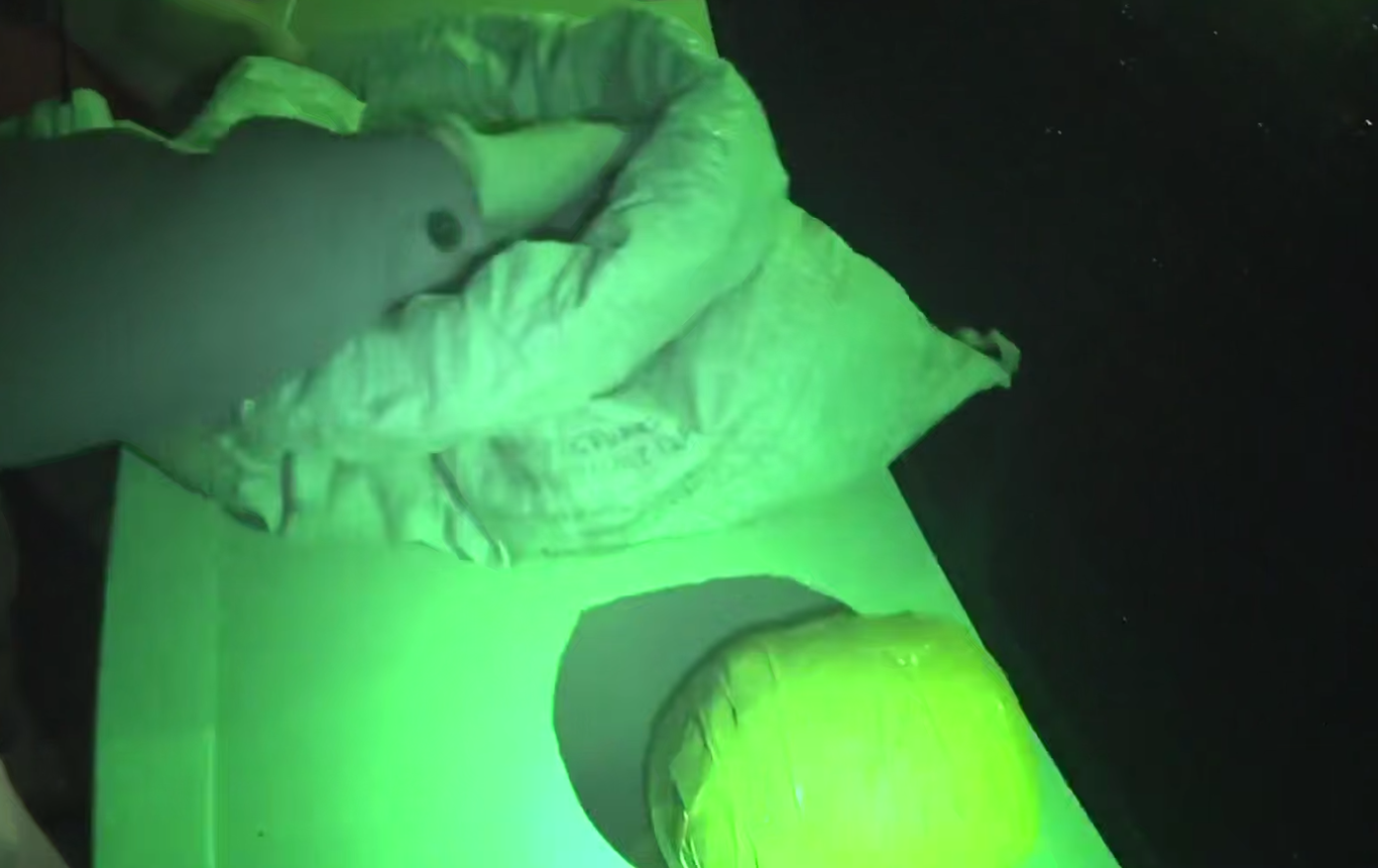 Ўзбекистонда Афғонистондан олиб келинган қарийб 9 кг гиёҳванд модда савдоси тўхтатилди