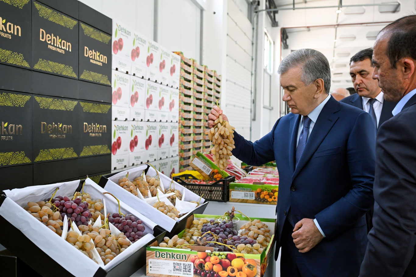 Prezident Shavkat Mirziyoyev “Quva Agrostar” korxonasi faoliyati bilan tanishdi