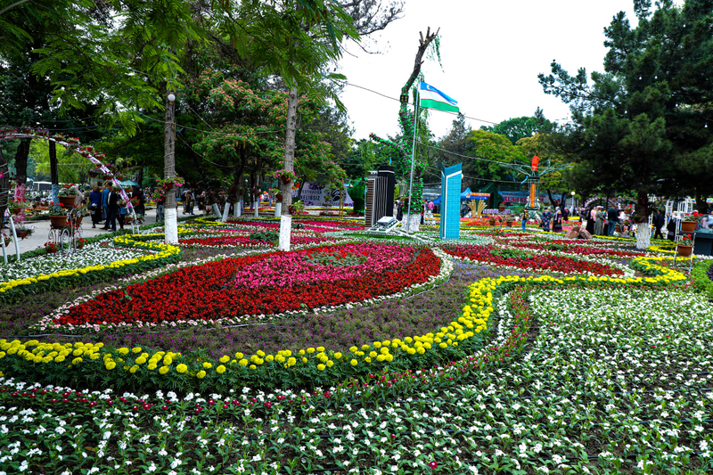 custom img