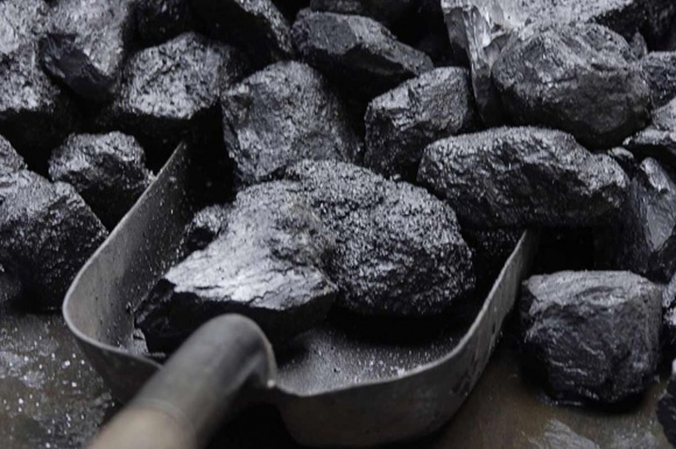 Mycoal.uz'дан кўмир харид қилган эҳтиёжманд оилаларга 600 минг сўмгача ёрдам ажратилади