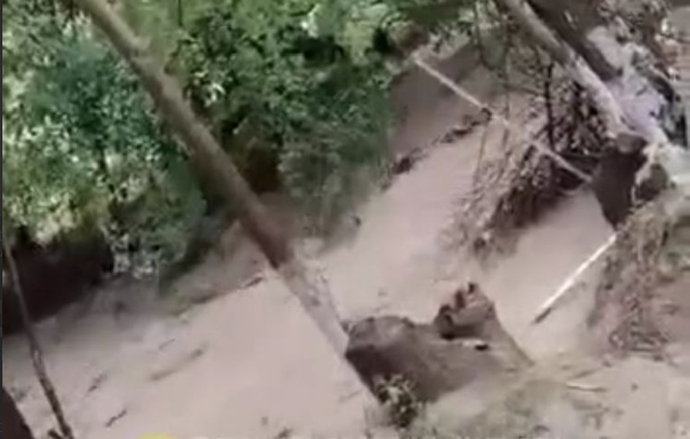 Zomin va Baxmal tumanlarida kuchli sel keldi
