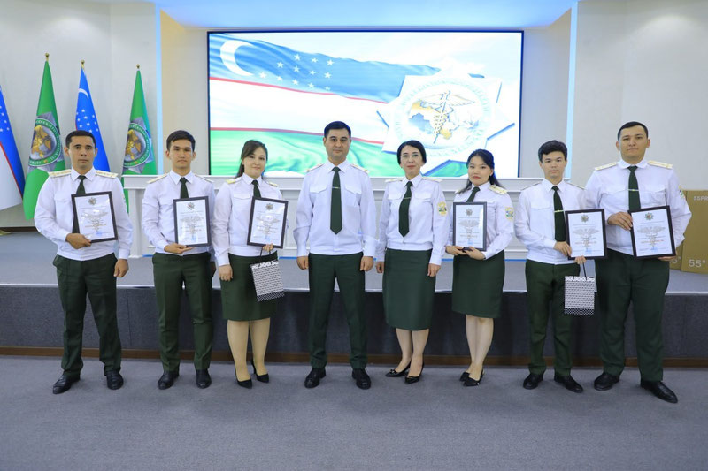 custom img
