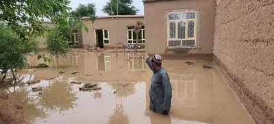 custom img