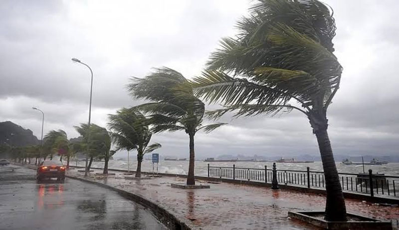 custom img