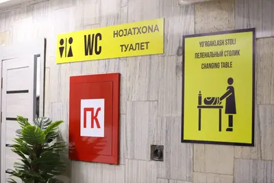 Тошкентда 100 та ҳожатхона ташкил этилади: лойиҳага 140,4 млн сўм ажратилиши мумкин