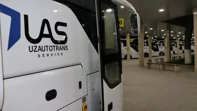 Сохта эълонлар ва қиммат чипталар: Транспорт вазирлиги фуқароларни огоҳлантирди
