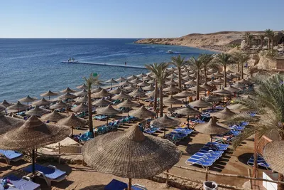 Relief for Uzbeks traveling to Egypt: new entry rules postponed